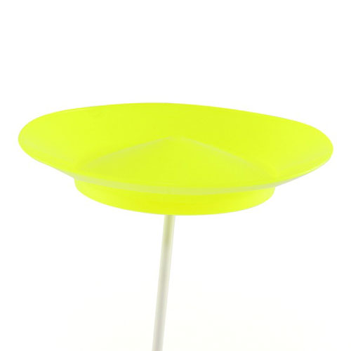 Assiette chinoise jaune