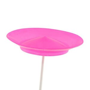 Assiette chinoise rose